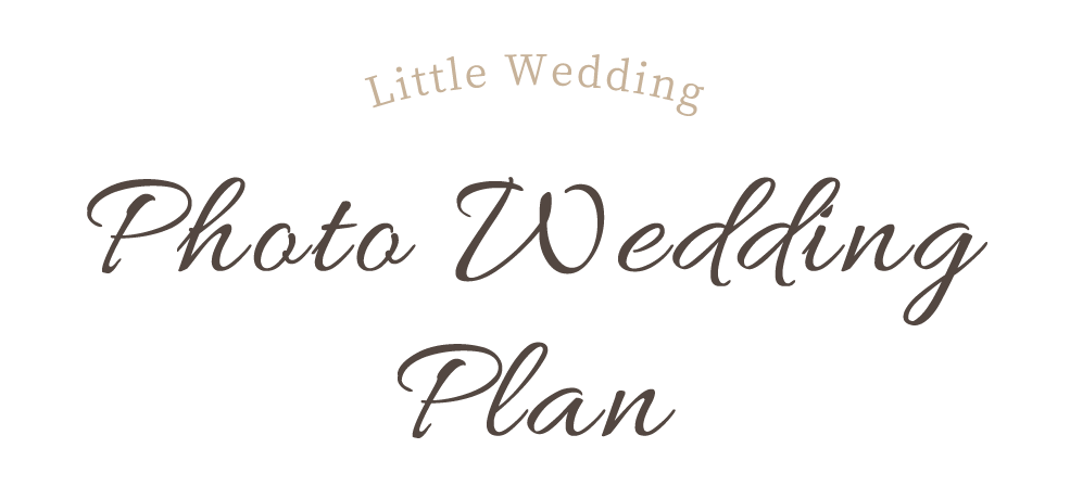 Photo Wedding Plan