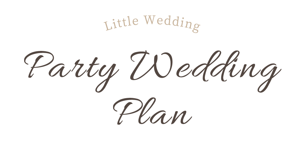 Party Wedding Plan